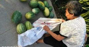 漳州吃瓜最新事件爆料,揭秘背后惊人真相  第2张 漳州吃瓜最新事件爆料,揭秘背后惊人真相  第2张