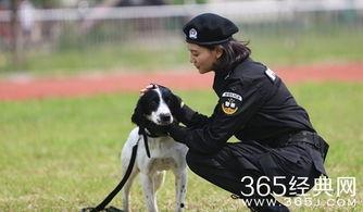 警花与警犬-在线观看,热血守护,共筑平安防线  第2张 警花与警犬-在线观看,热血守护,共筑平安防线  第2张