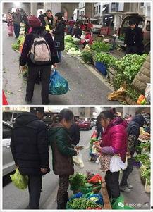 半山小镇爆料最新消息是真的吗,最新消息真实性揭秘  第3张 半山小镇爆料最新消息是真的吗,最新消息真实性揭秘  第3张