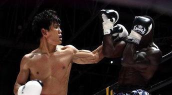 拳王猛虎在线观看,激战巅峰,热血沸腾的在线对决  第2张 拳王猛虎在线观看,激战巅峰,热血沸腾的在线对决  第2张