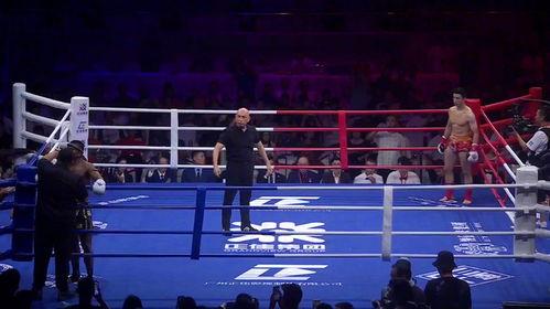 拳王猛虎在线观看,激战巅峰,热血沸腾的在线对决  第3张 拳王猛虎在线观看,激战巅峰,热血沸腾的在线对决  第3张