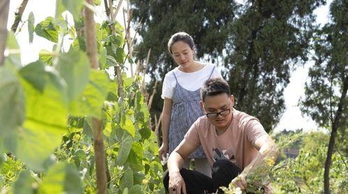 川乡小妹儿的爆料视频,一窥乡村生活百态  第3张 川乡小妹儿的爆料视频,一窥乡村生活百态  第3张