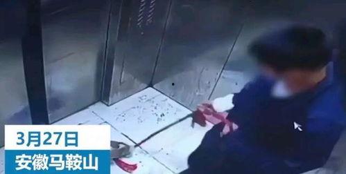 对镜爆料小男孩视频大全,揭秘小男孩视频大全的欢乐瞬间  第2张 对镜爆料小男孩视频大全,揭秘小男孩视频大全的欢乐瞬间  第2张