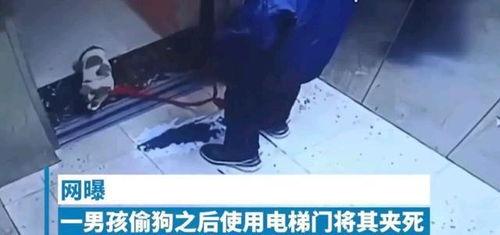 对镜爆料小男孩视频大全,揭秘小男孩视频大全的欢乐瞬间  第3张 对镜爆料小男孩视频大全,揭秘小男孩视频大全的欢乐瞬间  第3张