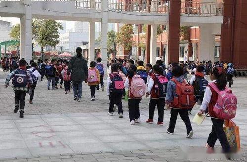 最新爆料曹县汇文小学,揭开校园安全与教育监管的隐忧  第2张 最新爆料曹县汇文小学,揭开校园安全与教育监管的隐忧  第2张