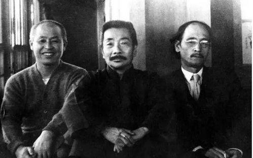 鲁迅最新爆料事件视频全集,揭秘历史真相,视频全集深度解析