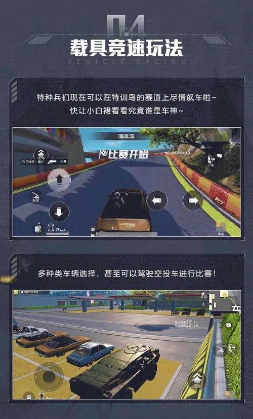 和平精英最新特训岛爆料,神秘岛屿等你探险  第2张 和平精英最新特训岛爆料,神秘岛屿等你探险  第2张