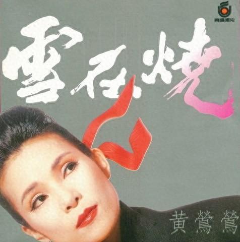 电影雪在烧在线观看,燃烧的复仇火焰,揭秘复仇之路  第3张 电影雪在烧在线观看,燃烧的复仇火焰,揭秘复仇之路  第3张