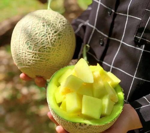 娱乐圈吃瓜有什么好处  第3张 娱乐圈吃瓜有什么好处  第3张