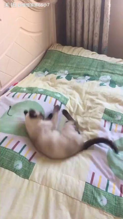 床小视频在线观看,私密空间里的情感共鸣  第3张 床小视频在线观看,私密空间里的情感共鸣  第3张